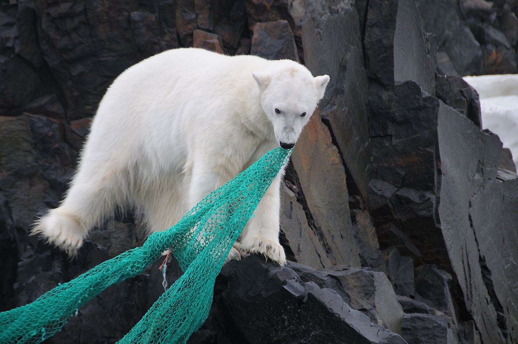 Second International Symposium on Plastics in the Arctic and Sub-Arctic Region 22-23 November 2023 - Reykjavík, Iceland  #ArcticPlastics2023 