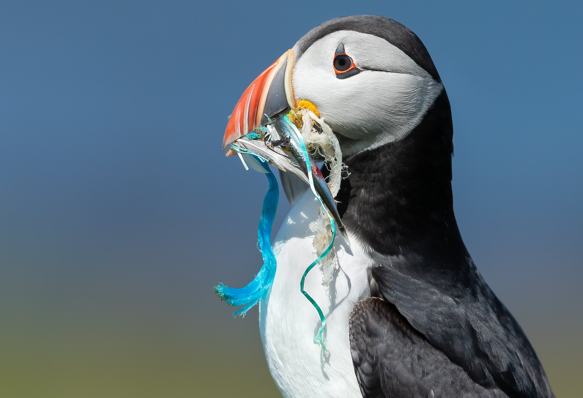 Atlantic Plastics 2026